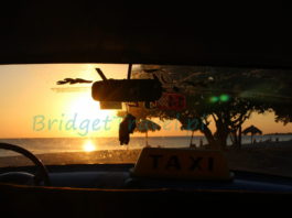 Taxi, www.bridgettravel.pl