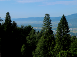 Beskid mały, widok na okolicę w pobliżu Chaty pod Rogaczem