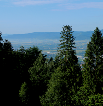 Wielka Korona Beskidów (WKB)– podstawowe informacje Beskid mały, widok na okolicę w pobliżu Chaty pod Rogaczem
