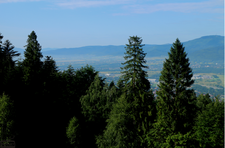 Beskid mały, widok na okolicę w pobliżu Chaty pod Rogaczem