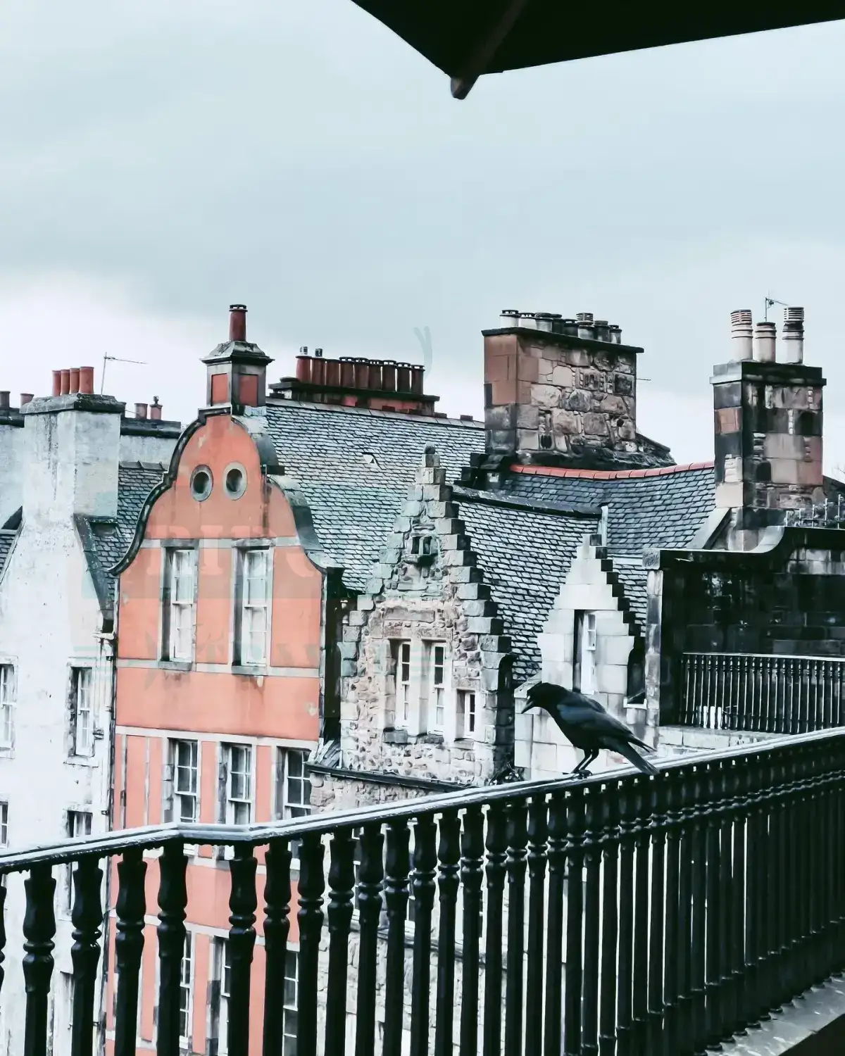 Victoria Street, Edynburg, Szkocja. Widok z górnej kondygnacji, na barierce stoi kruk.