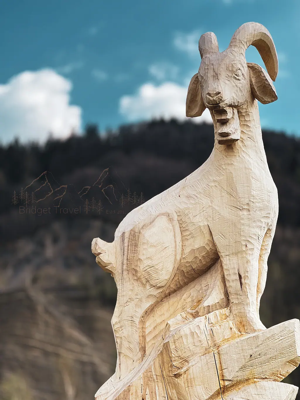 Koza na cokoliku ławeczki transgranicznej w Kamieniołomie w Kozach
