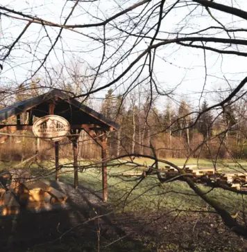 Hrobacza Łąka, Kamieniołom i Wilczy Staw (Kozy) Wiata przy parkingu w drodze na Hrobaczą Łąkę