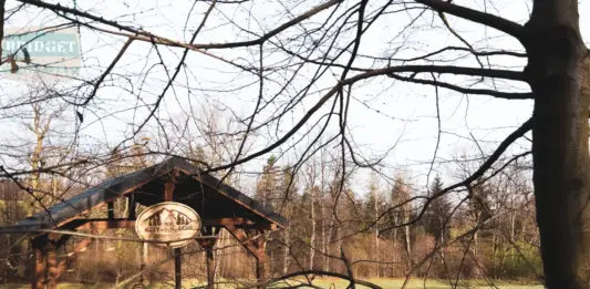 Hrobacza Łąka, Kamieniołom i Wilczy Staw (Kozy) Wiata przy parkingu w drodze na Hrobaczą Łąkę