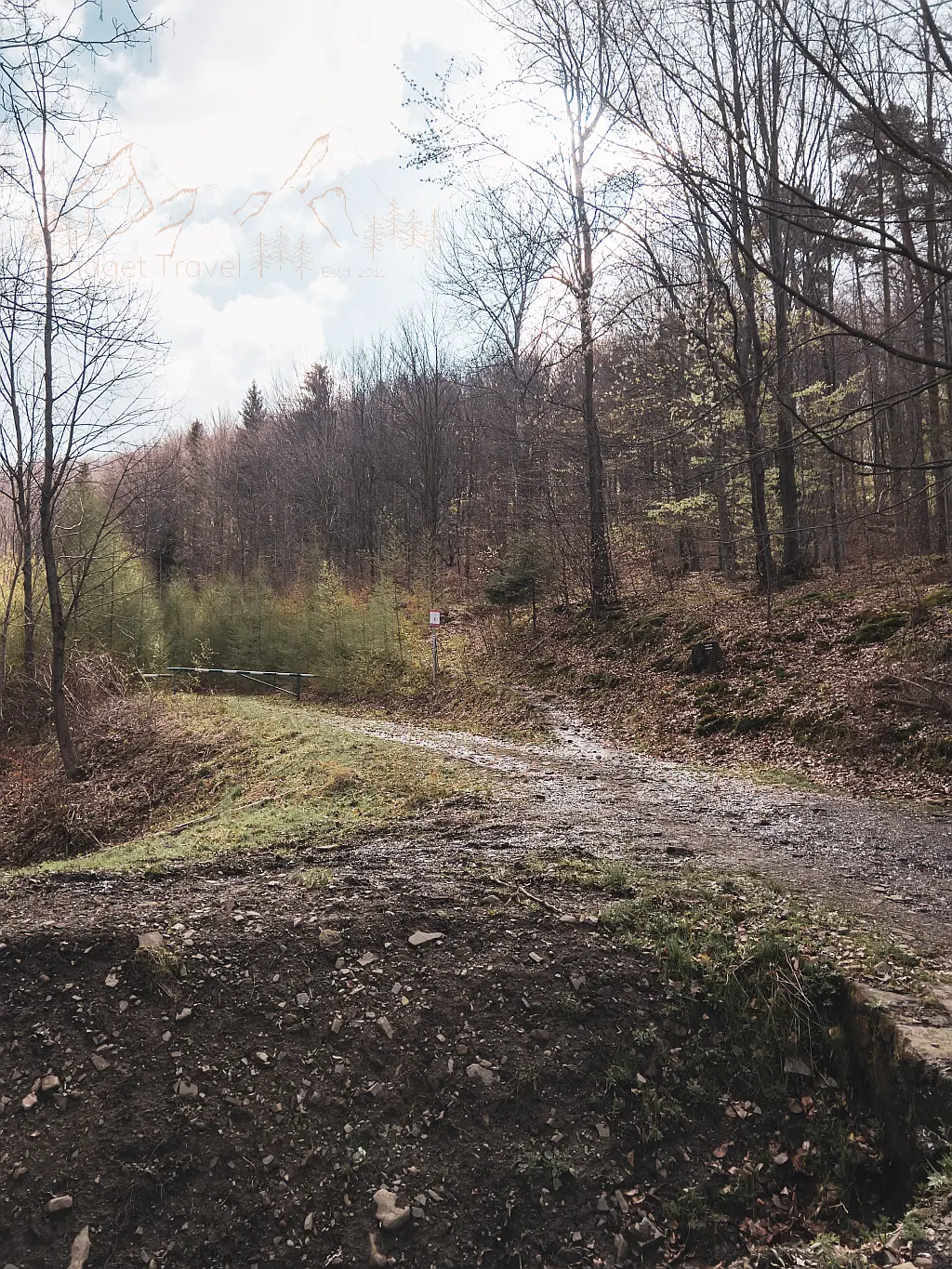 Wejście do lasu, na szlaku czarnym przy ul. Górskiej w Straconce