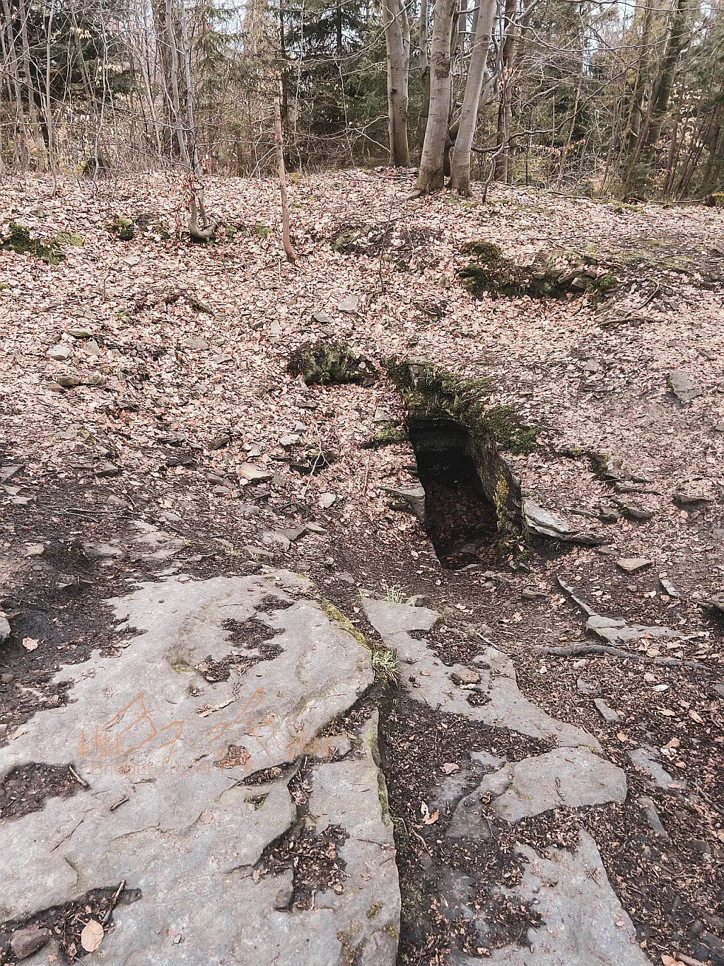 Wejście do jaskini Wietrzna Dziura/Smocza Jama na trasie na Czupel