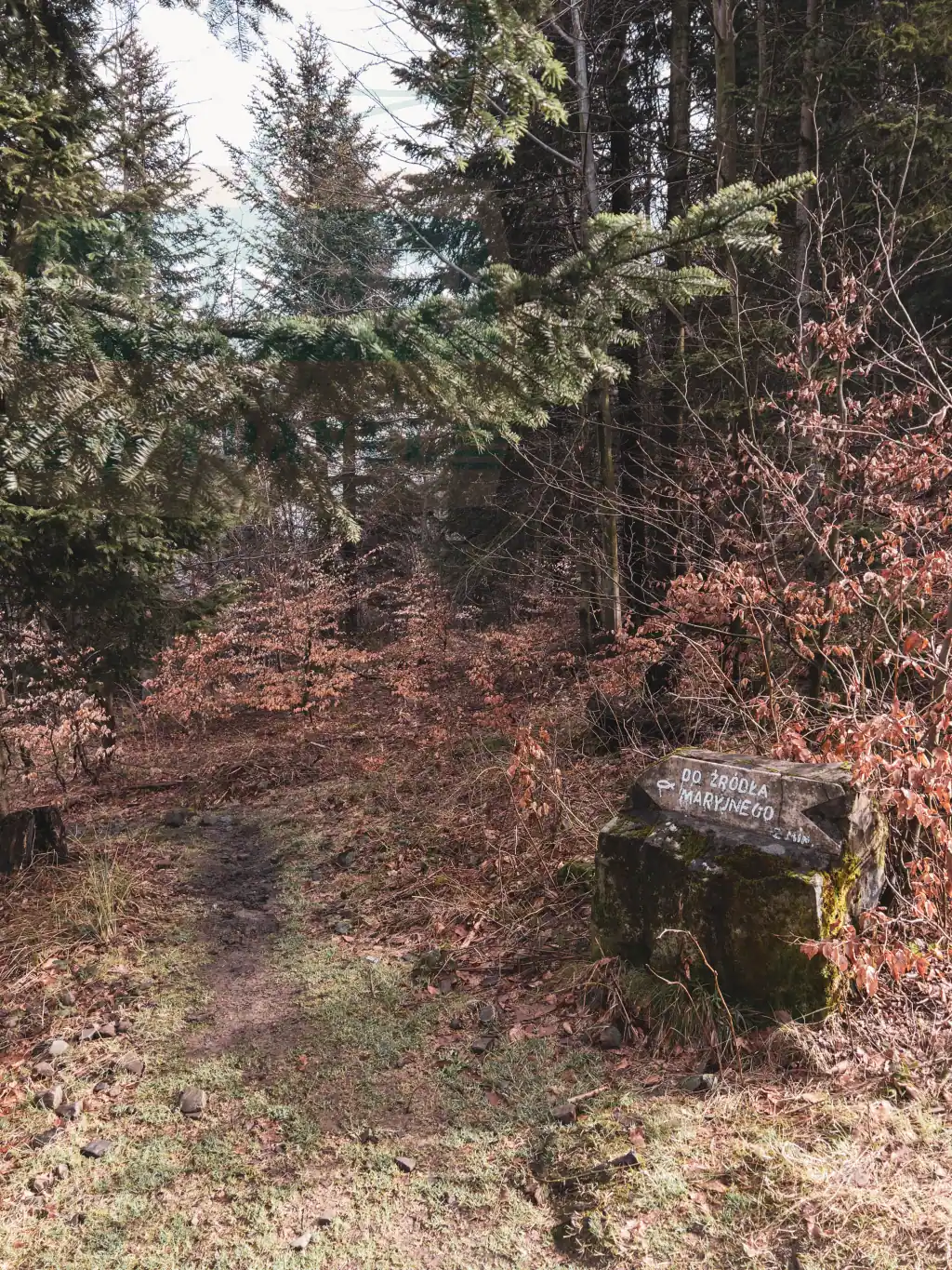 Zejście do Źródełka Maryjnego przy szlaku na Hrobaczą Łąkę