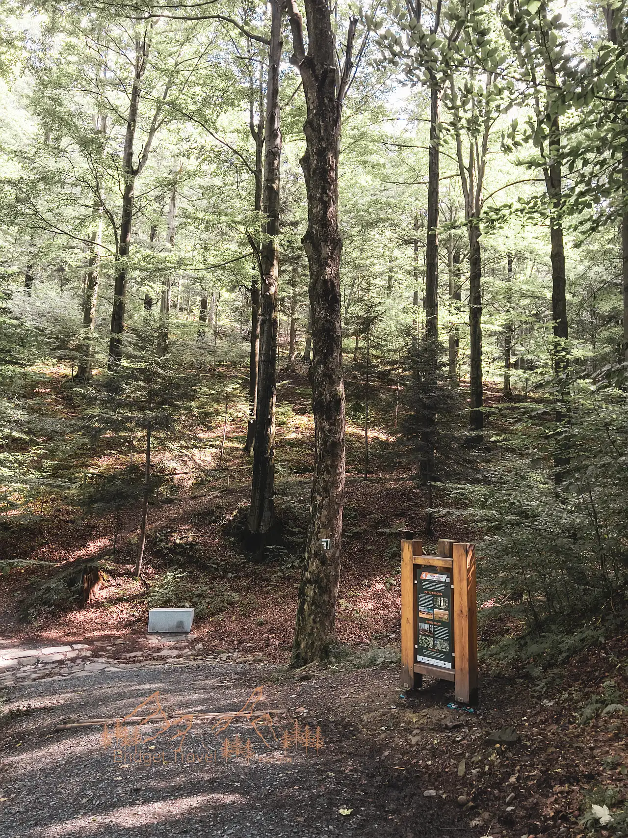 Ścieżka edukacji ekologicznej, szlak zielony, dawny tor saneczkowy, Kozia Góra